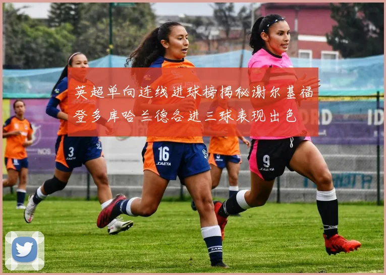英超单向连线进球榜揭秘谢尔基福登多库哈兰德各进三球表现出色