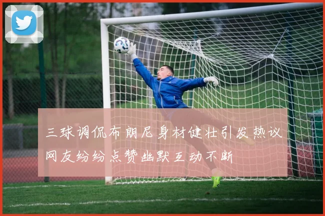 三球调侃布朗尼身材健壮引发热议网友纷纷点赞幽默互动不断