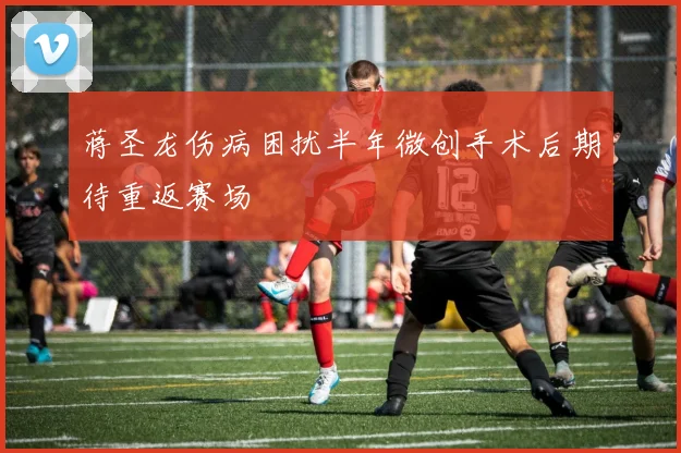 蒋圣龙伤病困扰半年微创手术后期待重返赛场